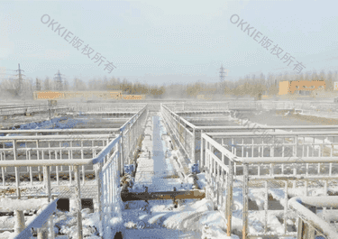 CASS工艺项目原位提标改造